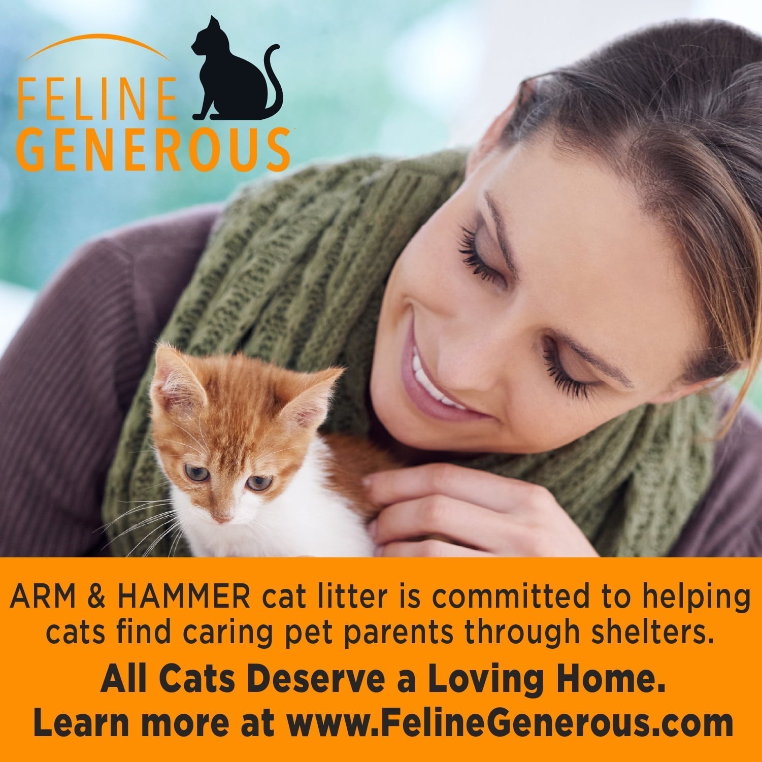 Arm Hammer Cloud Control Multi-Cat Clumping Cat Litter with Hypoallergenic Light Scent, 28lb - Arm & Hammer - Nimbus Distributors - wholesale and distributors in United States