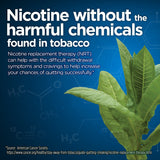 Equate Coated Nicotine Polacrilex Gum 4 mg, Mint Flavor, 100 Count - Equate - Nimbus Distributors - wholesale and distributors in United States