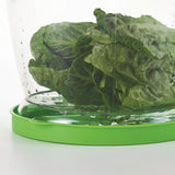 Progressive Prepworks Lettuce Keeper Food Storage , 4.7 Qt, Green Lid - Progressive Furniture - Nimbus Distributors - wholesale and distributors in United States