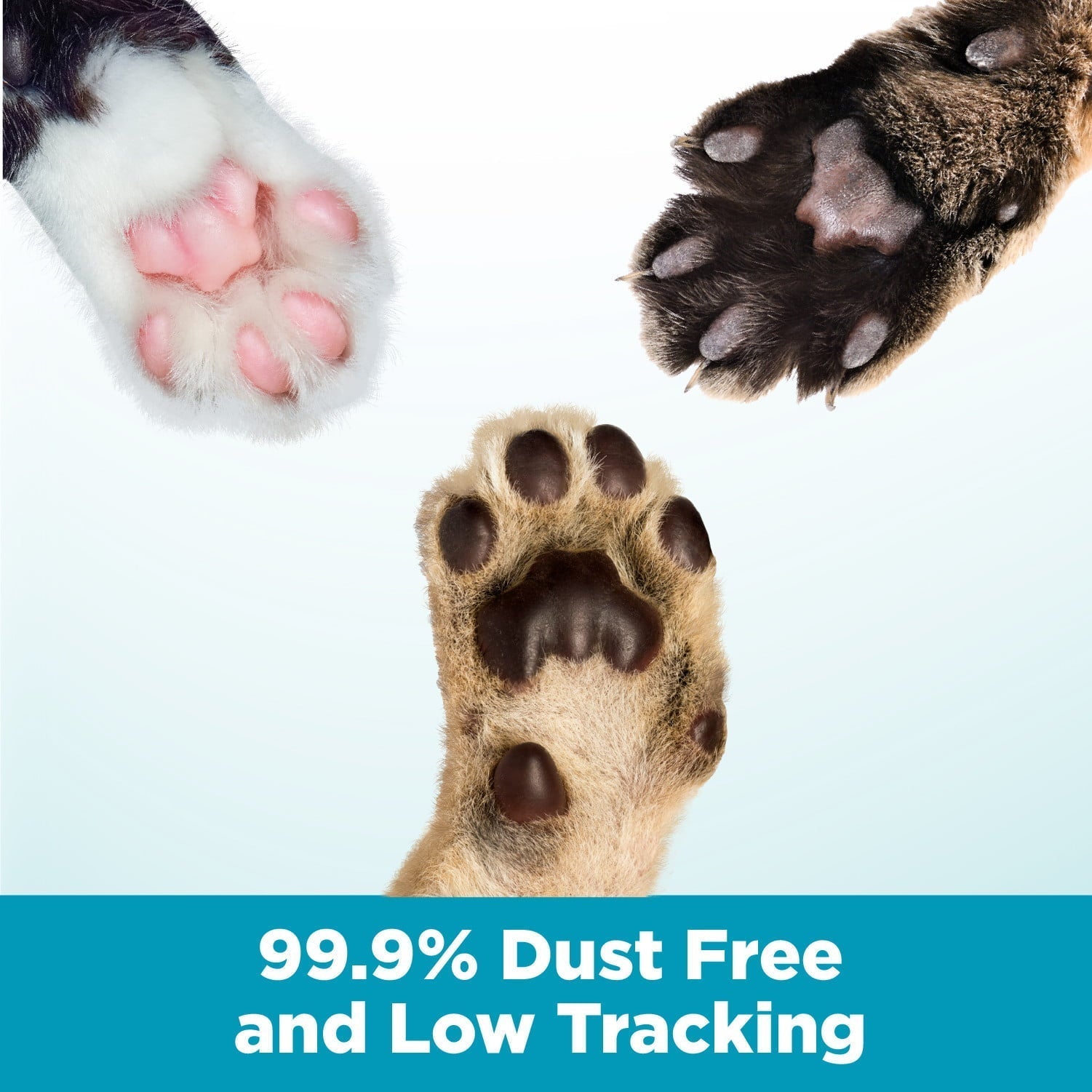 Arm Hammer Cloud Control Multi-Cat Clumping Cat Litter with Hypoallergenic Light Scent, 28lb - Arm & Hammer - Nimbus Distributors - wholesale and distributors in United States