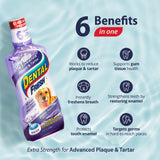 Dental Fresh Advanced Plaque and Tartar Water Additive, 32oz – Dog Teeth Cleaning Formula to Freshen Breath and Improve Cat & Dog Dental Care Dental Fresh Nimbus Distributors United States