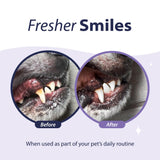 Dental Fresh Advanced Plaque and Tartar Water Additive, 32oz – Dog Teeth Cleaning Formula to Freshen Breath and Improve Cat & Dog Dental Care Dental Fresh Nimbus Distributors United States