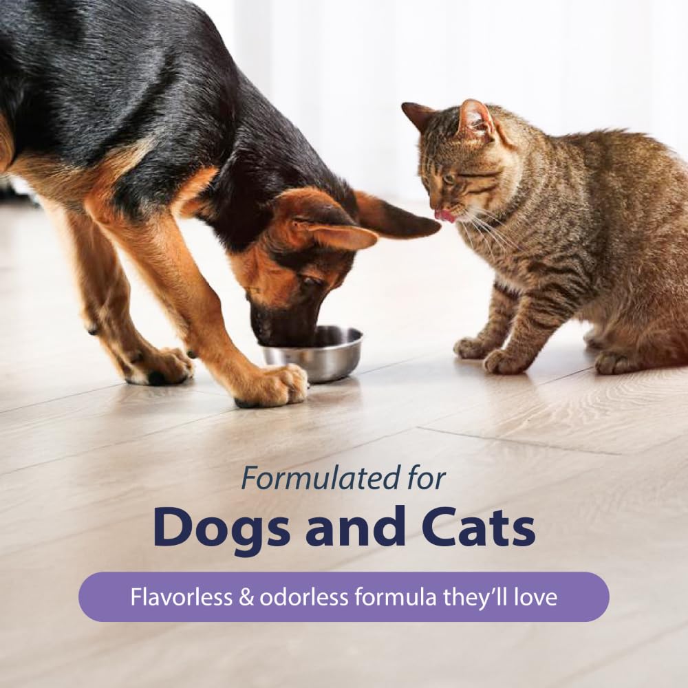 Dental Fresh Advanced Plaque and Tartar Water Additive, 32oz – Dog Teeth Cleaning Formula to Freshen Breath and Improve Cat & Dog Dental Care - Dental Fresh - Nimbus Distributors - wholesale and distributors in United States