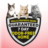 Arm Hammer Clump Seal Multi-Cat Complete Odor Sealing Clumping Cat Litter, 38lb - Arm & Hammer - Nimbus Distributors - wholesale and distributors in United States