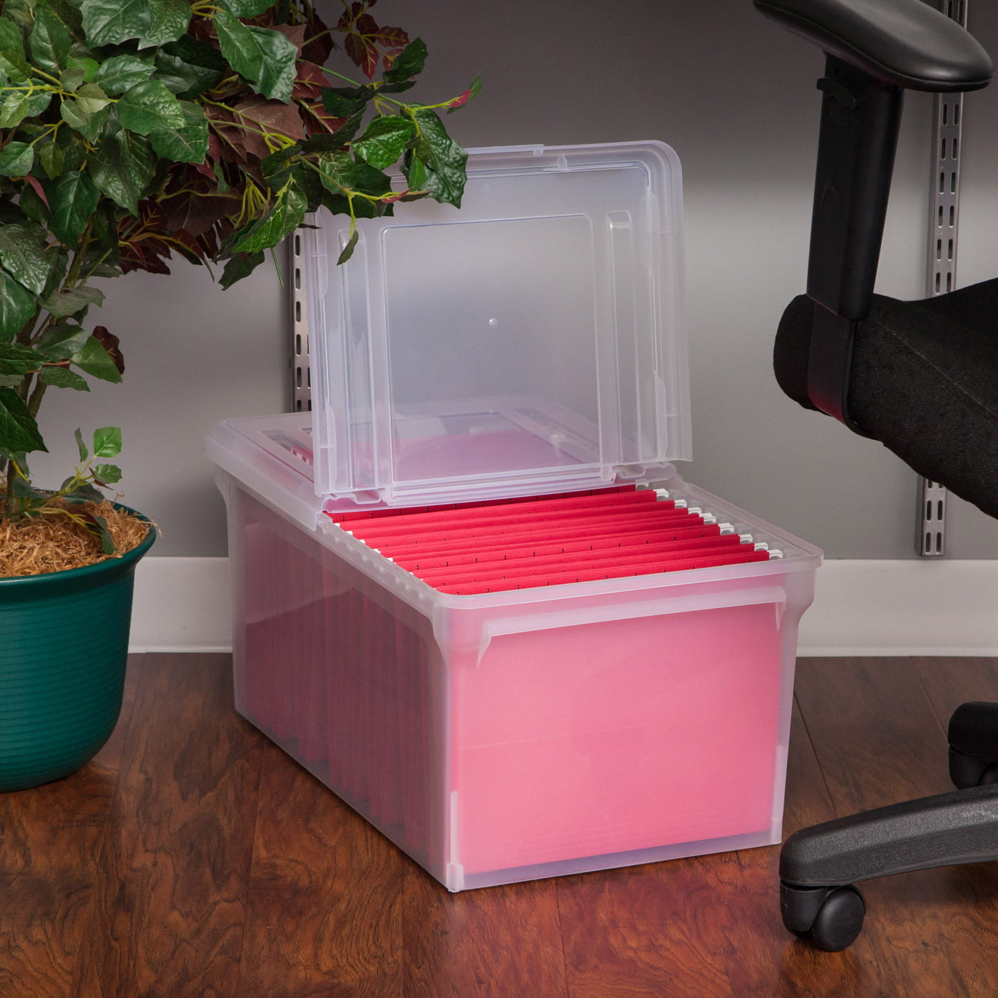 IRIS USA, Letter Size Split-Lid File Storage Box, Clear - IRIS - Nimbus Distributors - wholesale and distributors in United States
