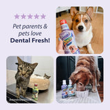 Dental Fresh Advanced Plaque and Tartar Water Additive, 32oz – Dog Teeth Cleaning Formula to Freshen Breath and Improve Cat & Dog Dental Care Dental Fresh Nimbus Distributors United States