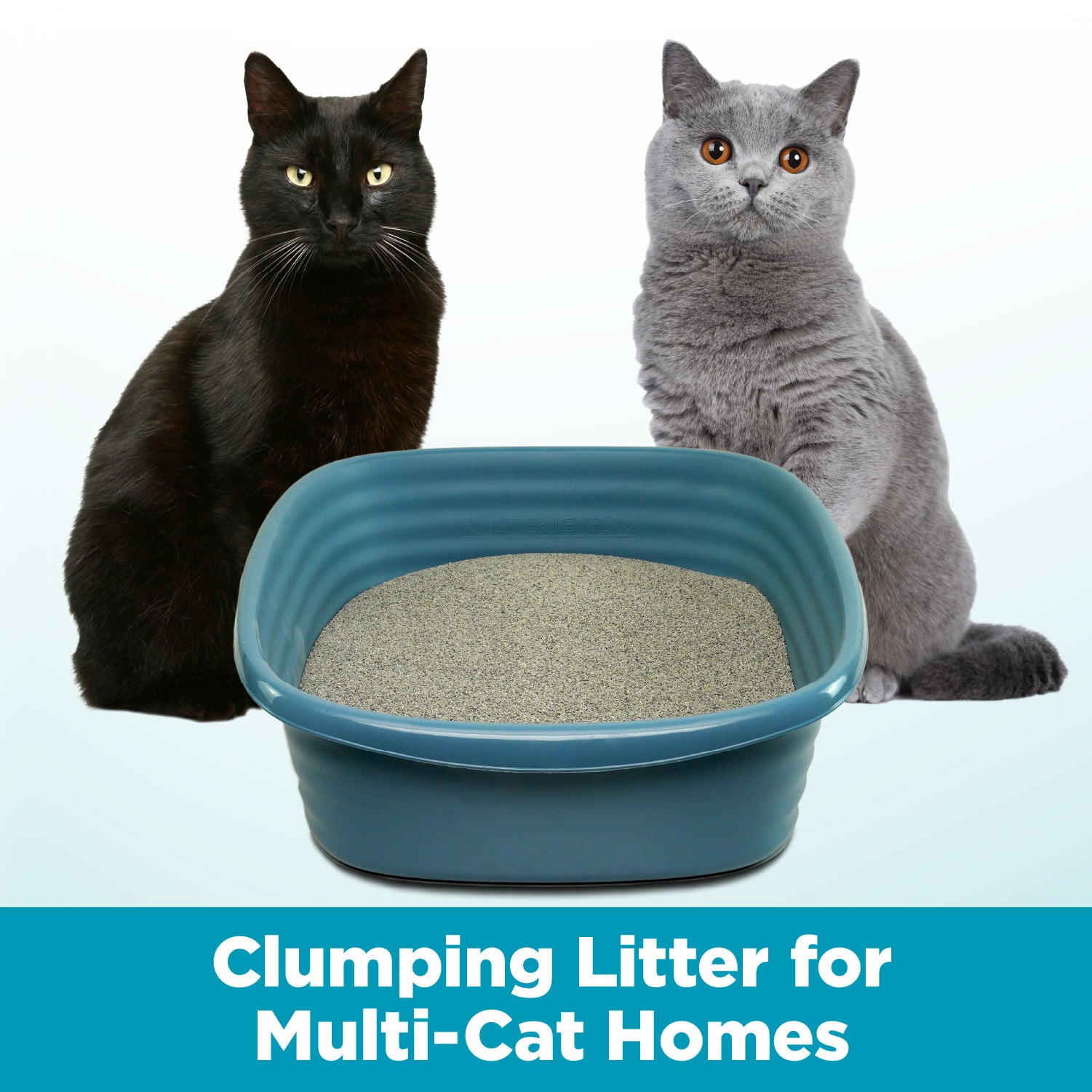 Arm Hammer Cloud Control Multi-Cat Clumping Cat Litter with Hypoallergenic Light Scent, 28lb - Arm & Hammer - Nimbus Distributors - wholesale and distributors in United States
