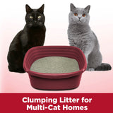 Arm Hammer Clump Seal Multi-Cat Complete Odor Sealing Clumping Cat Litter, 38lb - Arm & Hammer - Nimbus Distributors - wholesale and distributors in United States