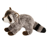 Ringo Raccoon 10 inch - Stuffed Animal by Douglas Cuddle Toys (4147) - Douglas Cuddle Toys - Nimbus Distributors - wholesale and distributors in United States
