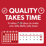 Jelly Belly Jelly Bean Multiple Flavors Bean Bag 32 oz - Jelly Belly - Nimbus Distributors - wholesale and distributors in United States