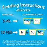 Purina Kit & Kaboodle Origina Dry Cat Food, 30 lb Bag - Kit & Kaboodle - Nimbus Distributors - wholesale and distributors in United States