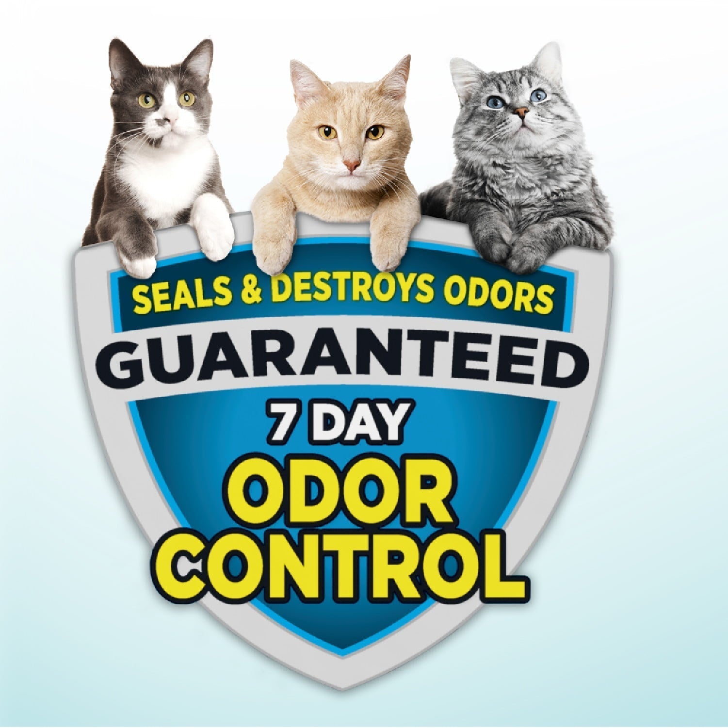 Arm Hammer Cloud Control Multi-Cat Clumping Cat Litter with Hypoallergenic Light Scent, 28lb - Arm & Hammer - Nimbus Distributors - wholesale and distributors in United States